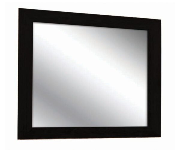 Hilton Elite Mirror