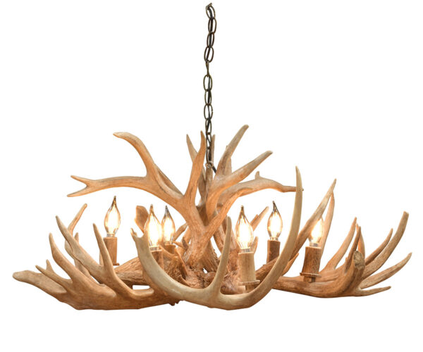 Whitetail Antler Chandelier